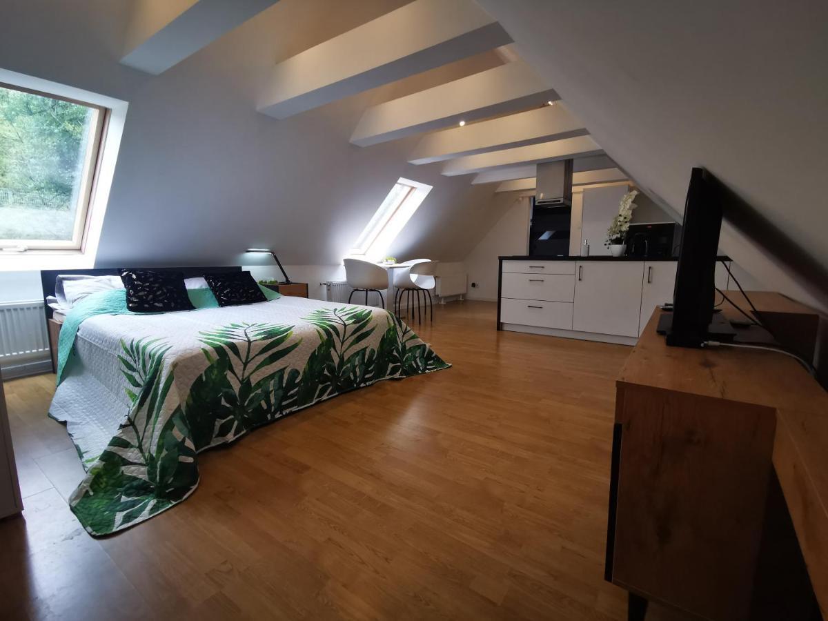 Апартаменты Chillout Apart In The Attic Львувек-Слёнски Экстерьер фото